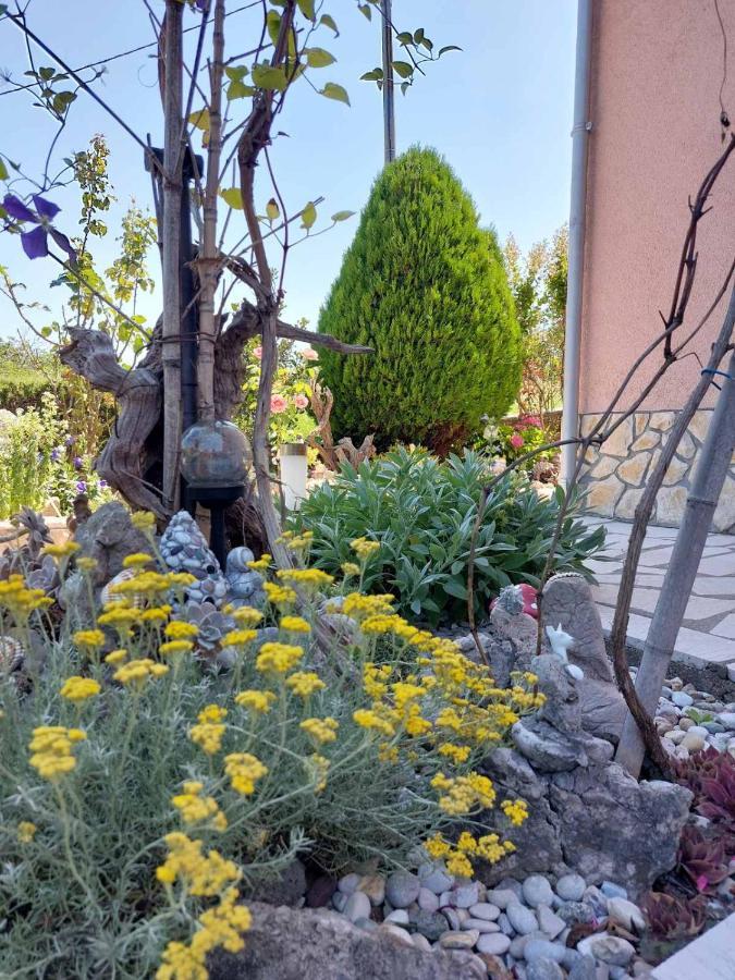 Apartmani Anica ريسيكا المظهر الخارجي الصورة
